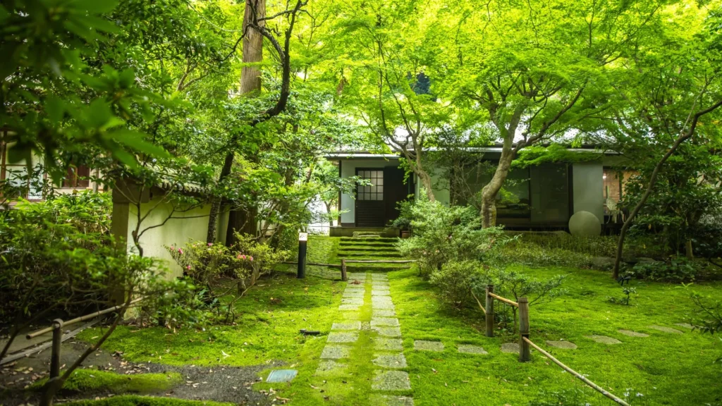 A serene view of a traditional Japanese building at Jochiji Temple, nestled within a lush, moss-covered garden. A stone-paved path leads through a vibrant green carpet of moss toward wooden stairs and a sliding door. The scene is framed by a dense canopy of fresh green maple leaves, creating a peaceful and secluded atmosphere.