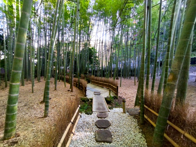 A pathway with stone steps and wooden bridges winds through a dense bamboo grove, leading the eye into the depths of the forest. Low, dry brush fences line the path, defining the trail amidst the towering green stalks. A stone lantern is partially visible in the distance.