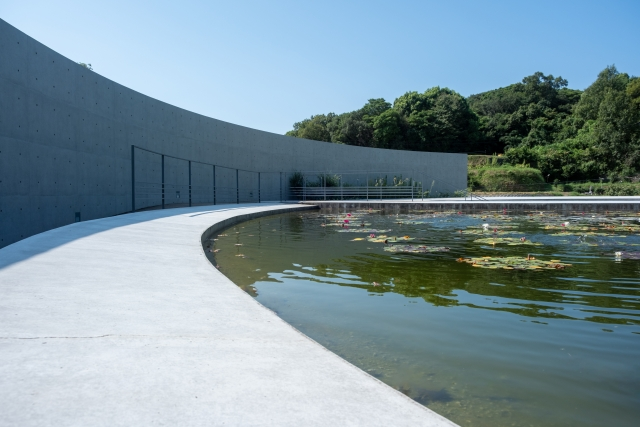 A wide-angle view of the Water Temple's curved concrete walls and the expansive lotus pond. The smooth, grey concrete path follows the arc of the water, reflecting the clear sky. Water lilies are scattered across the pond's surface, with dense green mountains visible in the distance.