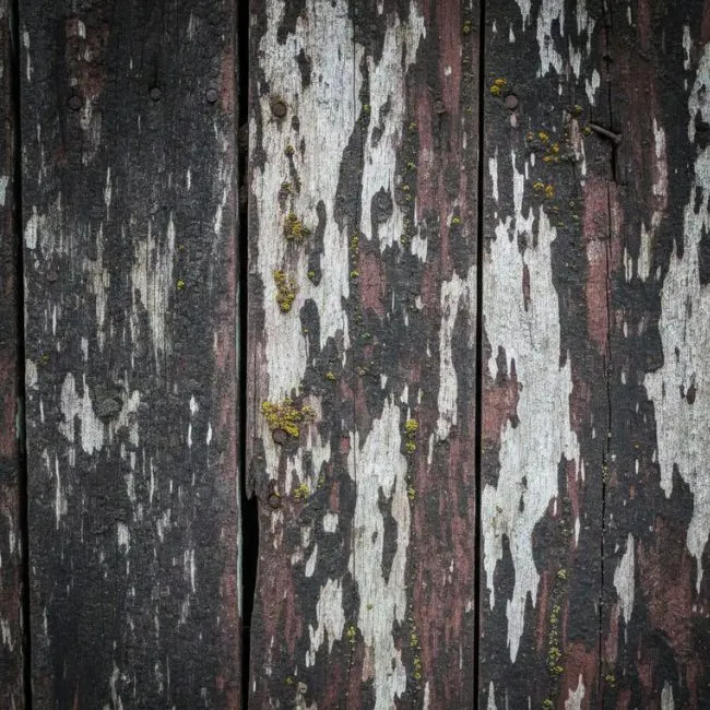 wabi sabi architecture weathered wood natural aging zen temple wall texture