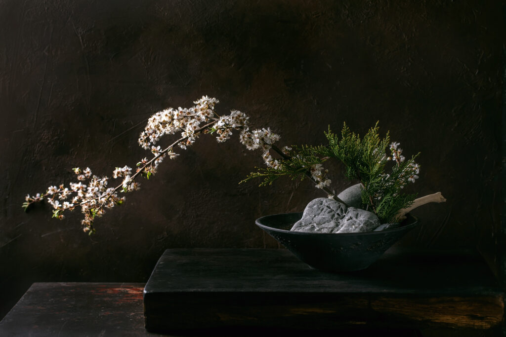 Spring ikebana. Minimalistic floral composition with spring blooming white flowers, thuja branch and stones in black ceramic bowl, standing on black wooden table. 
