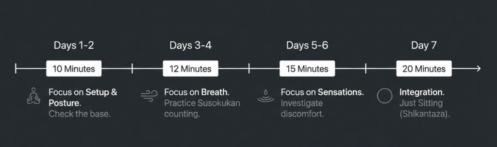 The 7-day beginner's roadmap